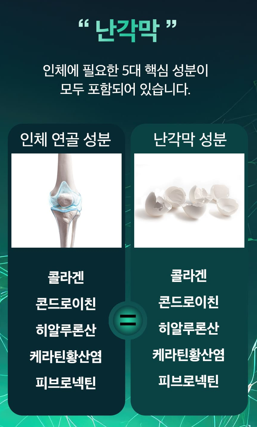 스페인산 수용성 난각막 NEM 콘드로이친 콜라겐 60정 3병 6개월분 - 상세 이미지 4
