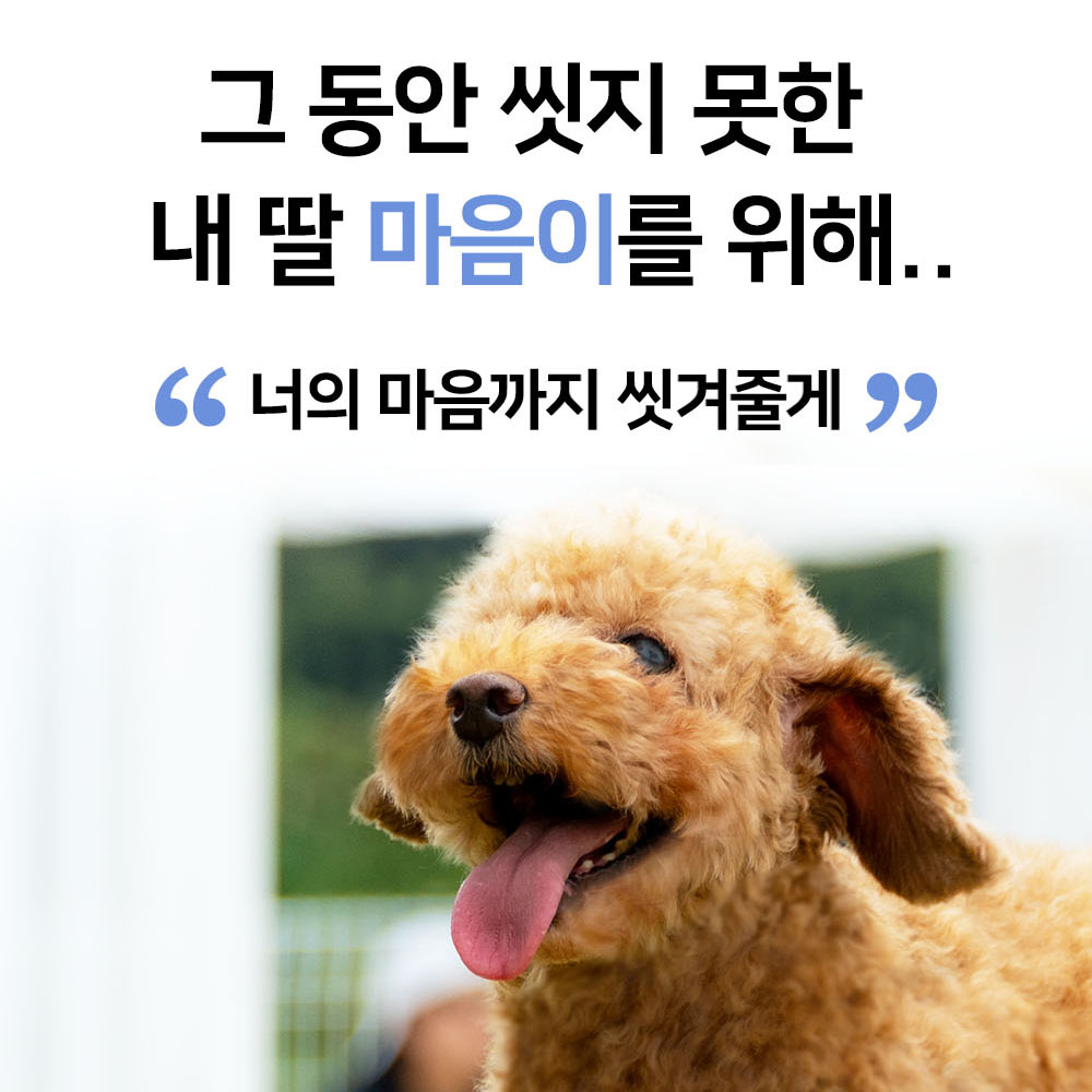 마음더 강아지 애견 고양이 저자극 얼굴 발 샴푸 샴푸만 구매, 300ml, 1개 이미지 3