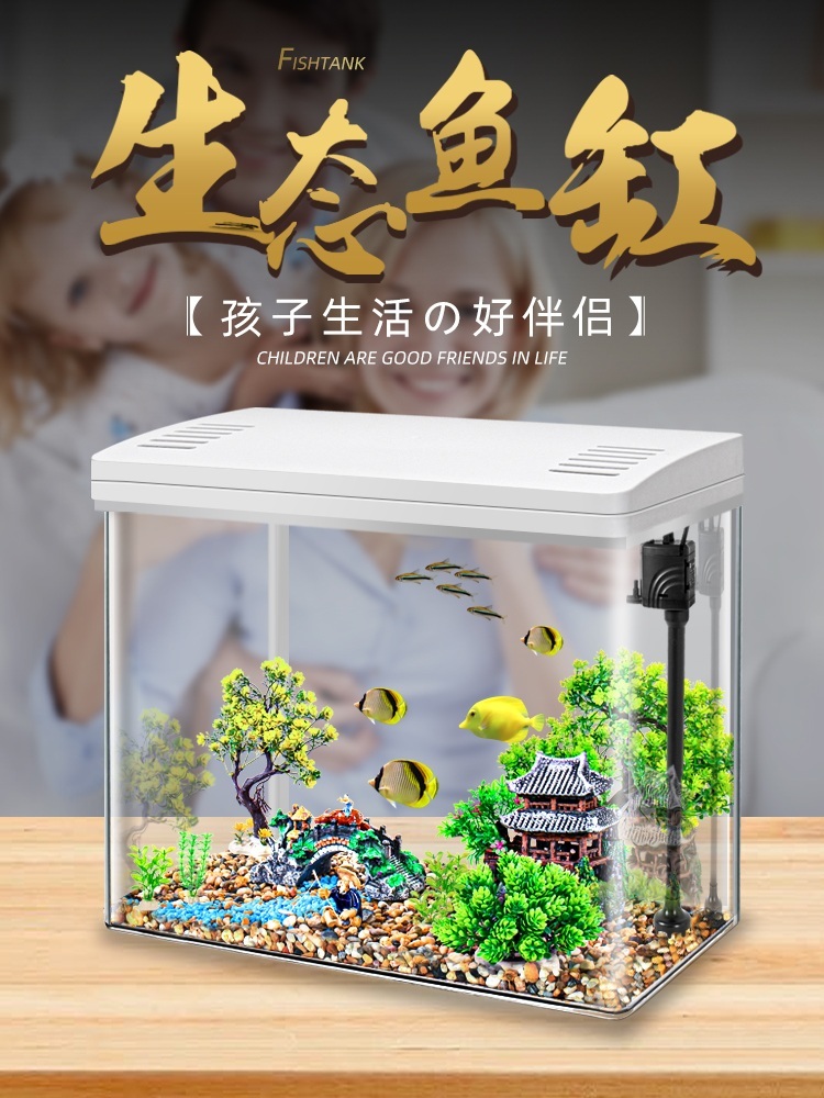 아크릴 수족관 해수어 관상어 장식 무환수 금붕어키우기 40x23x27기본패키지+커버제외 - 상세 이미지 4