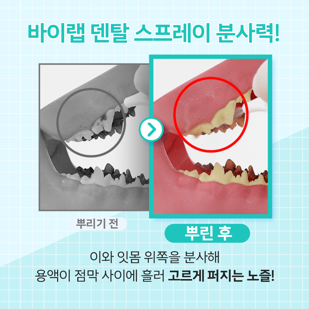 바이랩 덴탈 스프레이 강아지 구강 입냄새 치석 제거 뿌리는 치약 치아관리 60ml, 1개