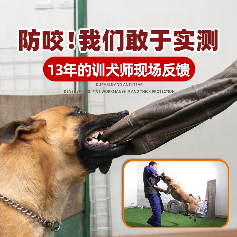 물림방지 장갑 반려동물장갑 애견 보호 소가죽 고양이 60cm 4단 초두께 강화 1개 - 상세 이미지 3