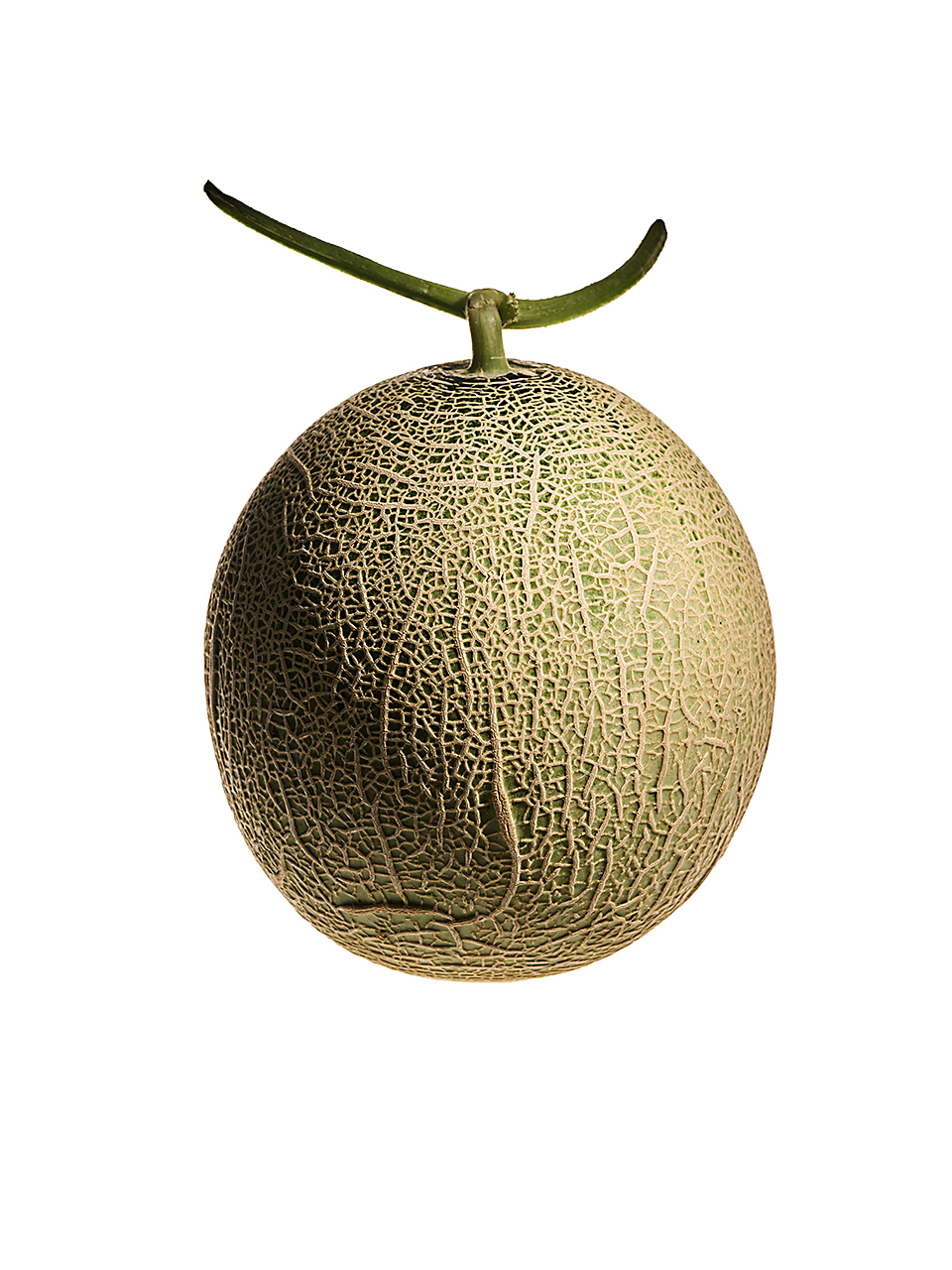 [당도선별] 프리미엄 고당도 얼스 메론