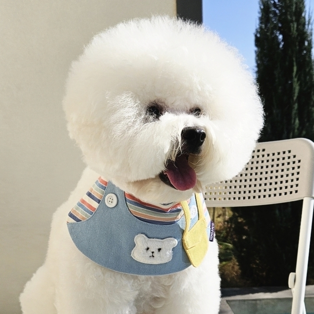 강아지케이프 고양이 케이프 턱받이 곰돌이 멜빵 스카프 - 상품 이미지
