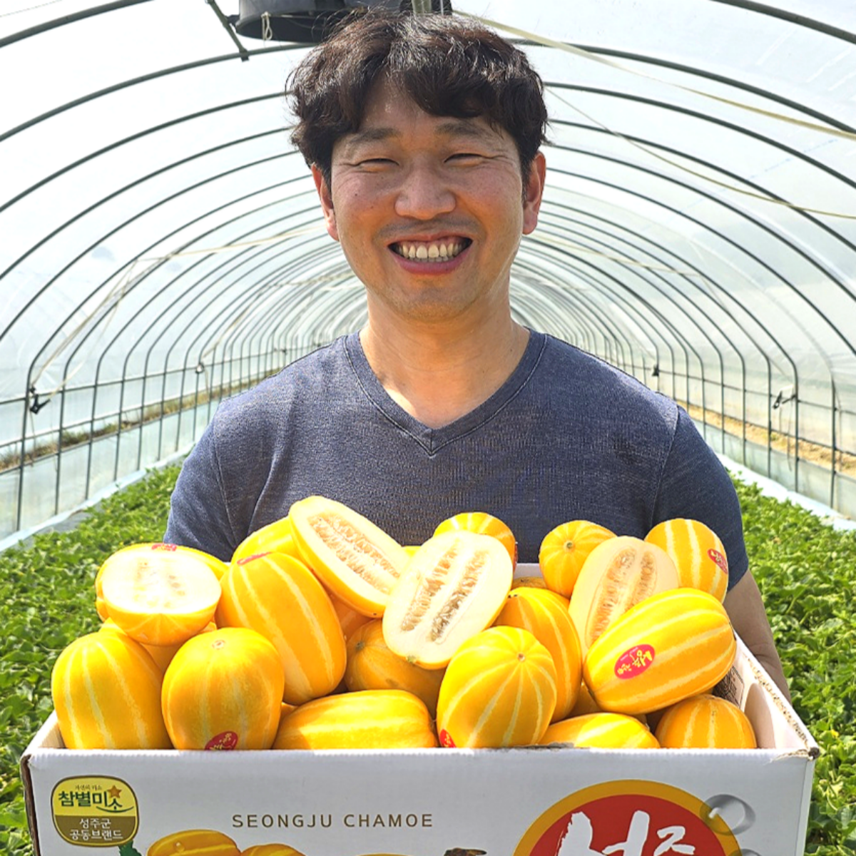 꼬마참외 못난이참외 성주참외