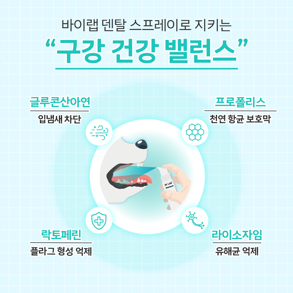 바이랩 덴탈 스프레이 강아지 구강 입냄새 치석 제거 뿌리는 치약 치아관리 60ml, 1개