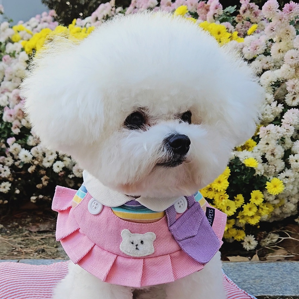 강아지 고양이 케이프 곰돌이 멜빵 원피스 - 상세 이미지 2