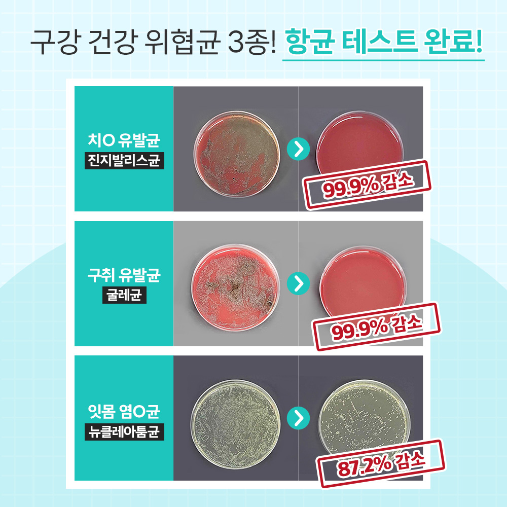 바이랩 덴탈 스프레이 강아지 구강 입냄새 치석 제거 뿌리는 치약 치아관리 60ml, 1개