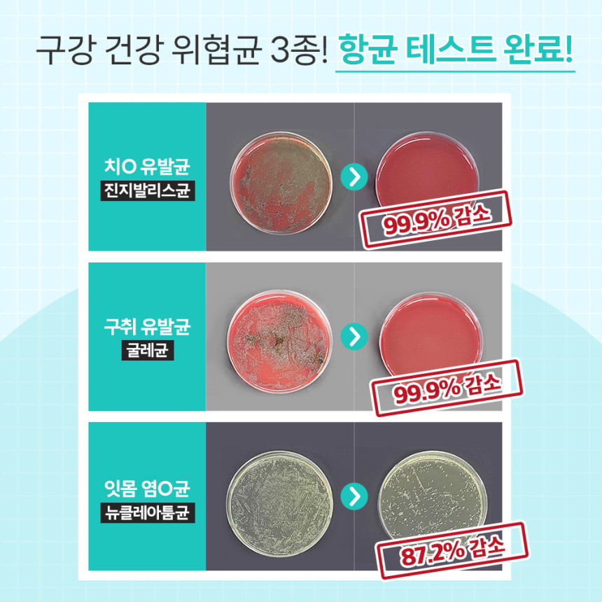 바이랩 덴탈 스프레이 강아지 구강 입냄새 치석 제거 뿌리는 치약 치아관리 60ml, 1개 사진 3