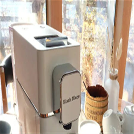 [블랙리꼬] 19BAR 친환경 하드파드 커피머신 SV826 + 하드파드커피 20개 (디카페인과 일반 혼합)