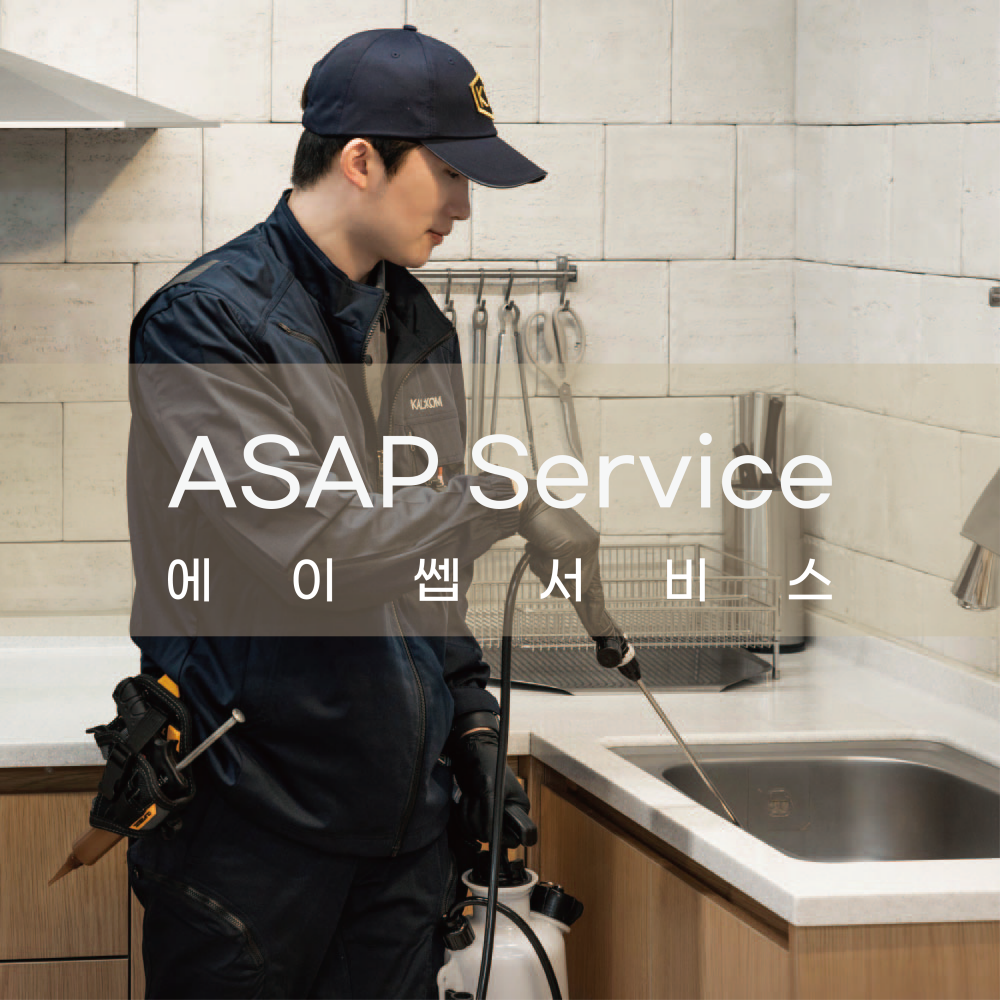 서울해충방역 24시간 출동 에이쎕 서비스 벌레퇴치 바퀴벌레없애는법