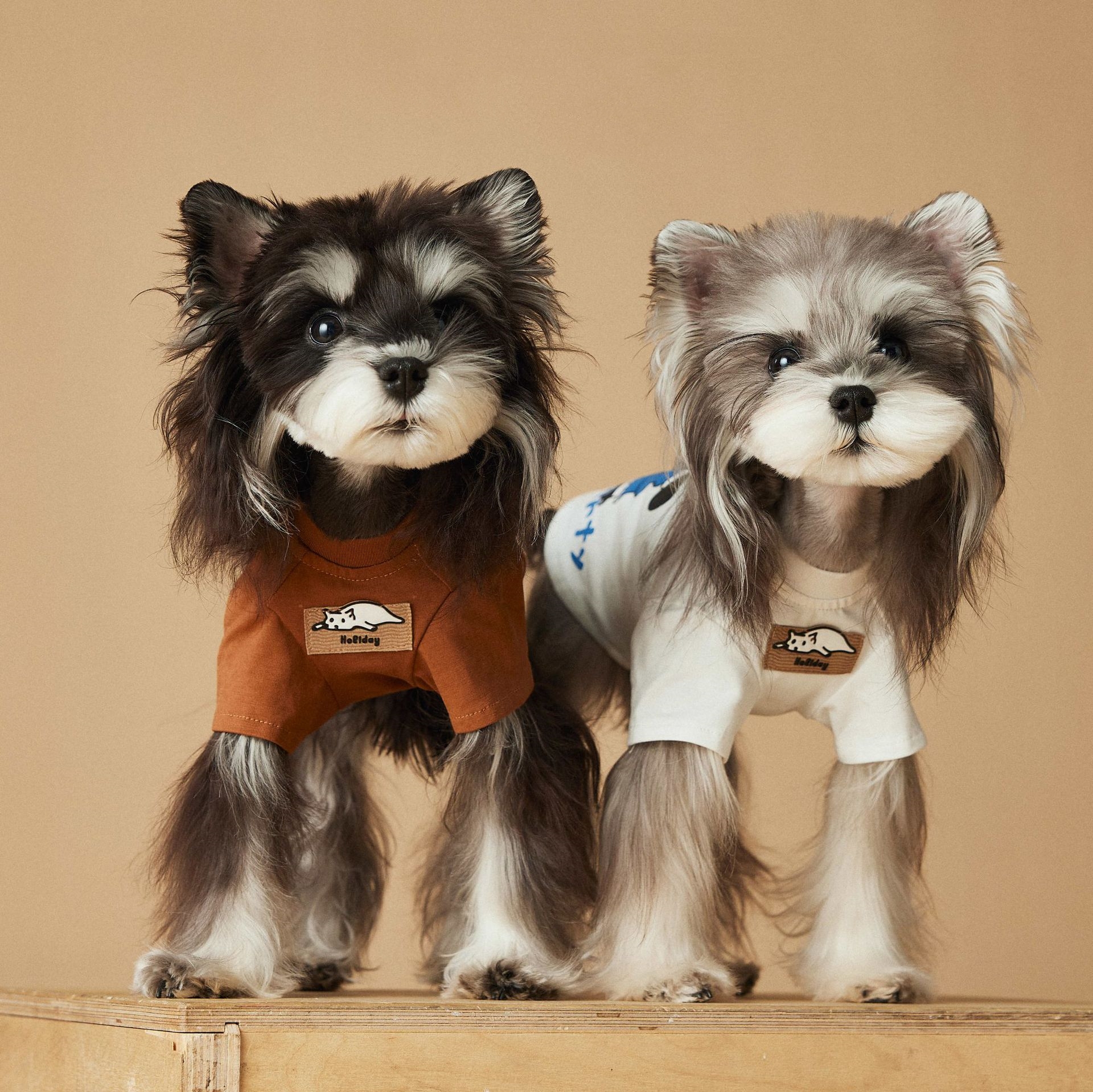 [2색] 귀여운 강아지 프린트 티셔츠 🐶 봄여름 강아지 반팔 티셔츠 (비글 로고, 후드 스타일) - 상세 이미지 3