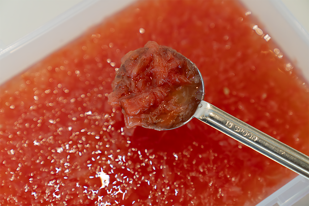 메모리인히어 자몽청 수제청 에이드 카페 대용량 과일청 2kg, 1개 - 상세 이미지 2