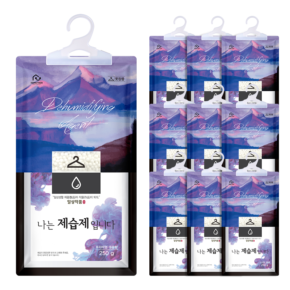홈트너 제습제 옷장제습제 습기제거제 옷걸이형 250g, 10개