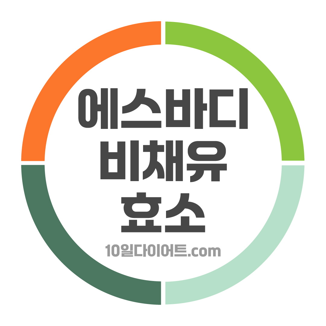 에스바디 비채유 효소 스토어 로고