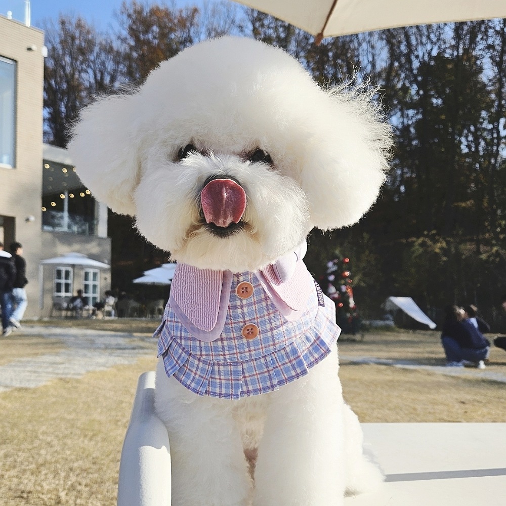 강아지케이프 고양이 애견 케이프 턱받이 왕리본 체크 원피스 망토 - 상품 이미지