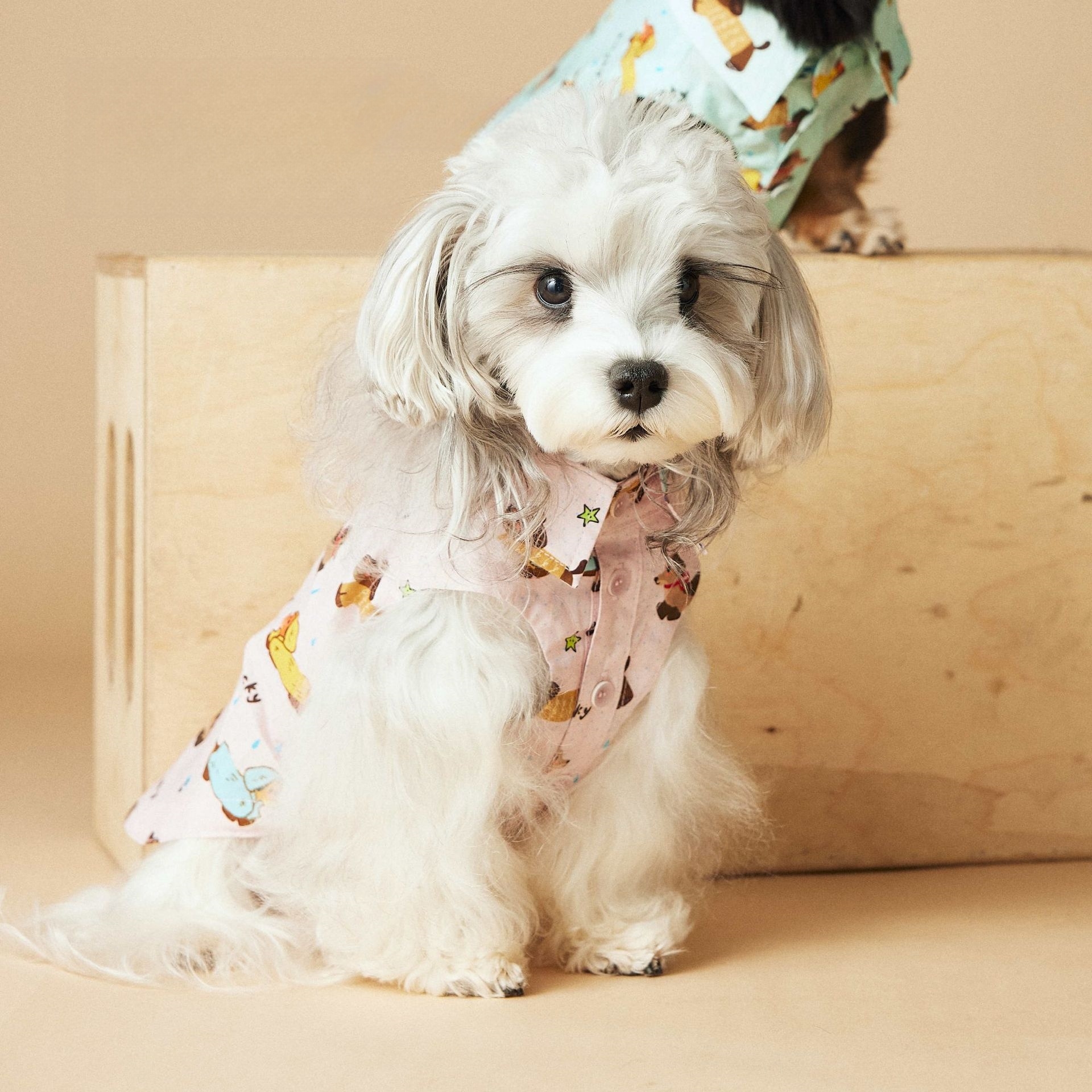 [2색] 무지 슬리브리스 셔츠 🐶 봄여름용 강아지 민소매 셔츠 - 상품 이미지