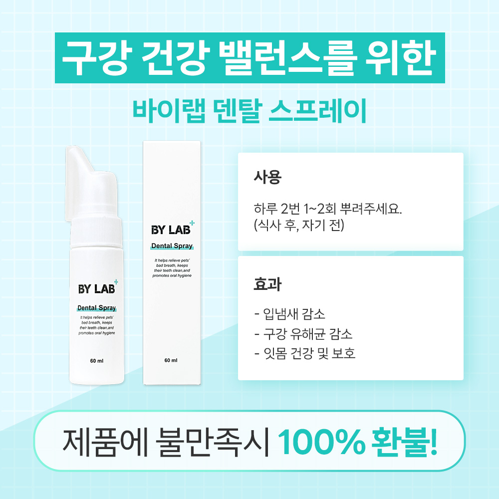 바이랩 덴탈 스프레이 강아지 구강 입냄새 치석 제거 뿌리는 치약 치아관리 60ml, 1개