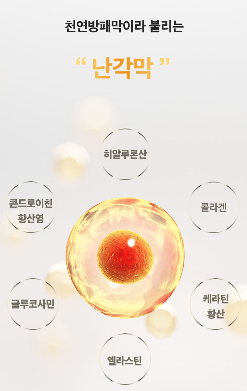 스페인산 수용성 난각막 NEM 콘드로이친 콜라겐 60정 3병 6개월분 - 상세 이미지 3