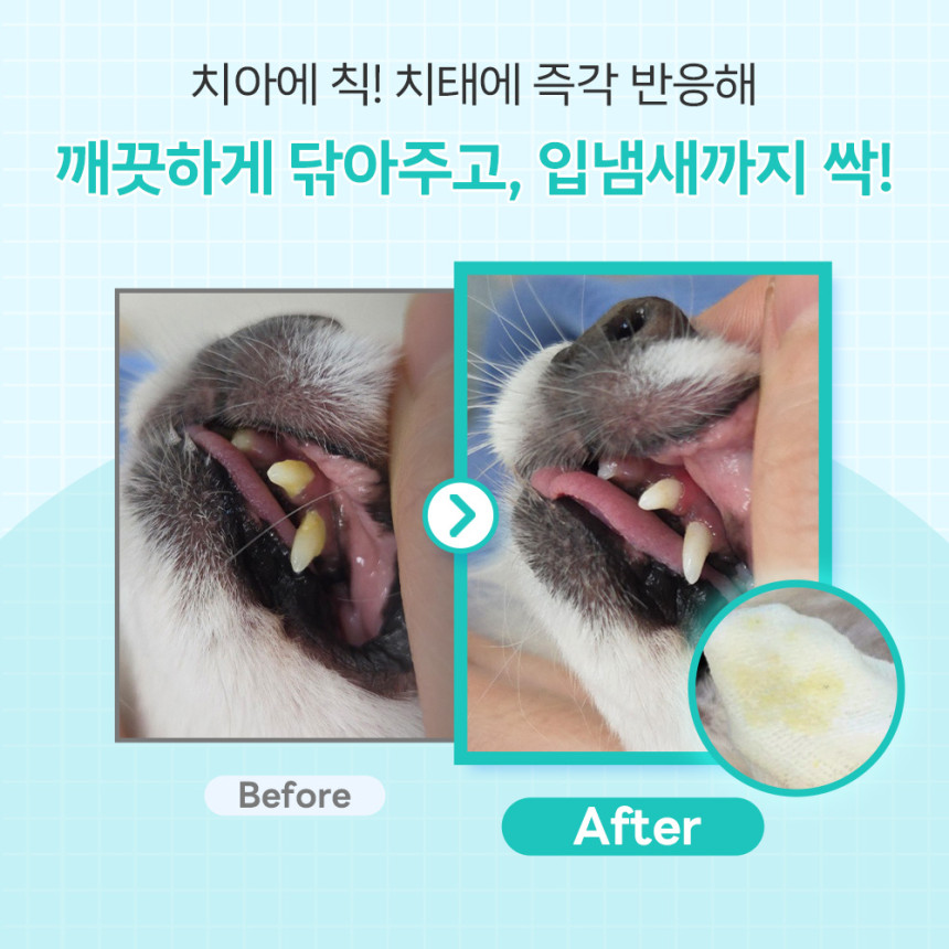 바이랩 덴탈 스프레이 강아지 구강 입냄새 치석 제거 뿌리는 치약 치아관리 60ml, 1개 사진 2