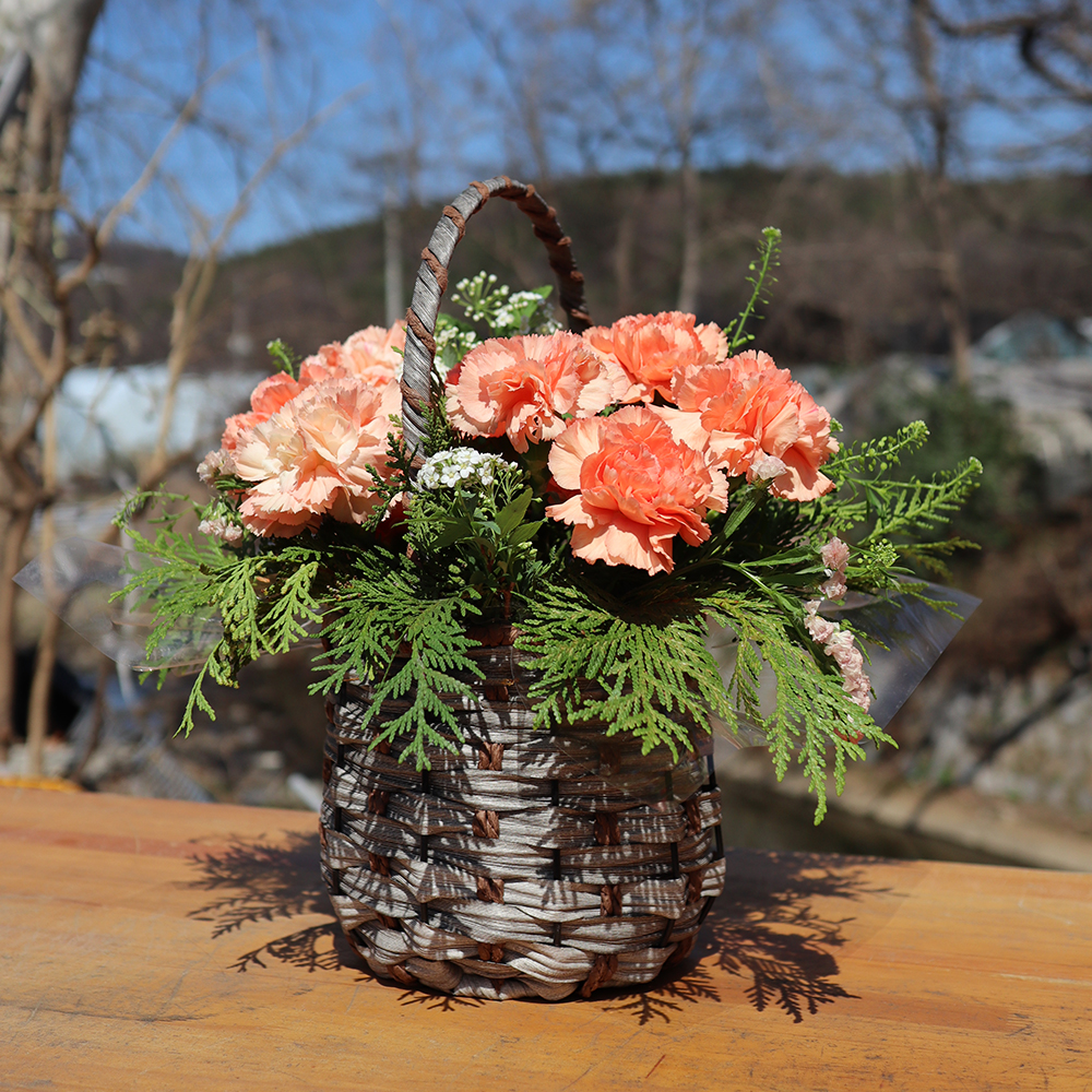 세종 카네이션 꽃바구니 어버이날 스승의날 꽃배달서비스 가정의달 부모님 선물 생화 농장직영