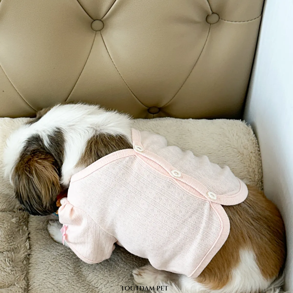 뚜담펫 강아지 고양이 봄옷 여름 크롭 가디건 귀여운 강아지옷 - 상세 이미지 4