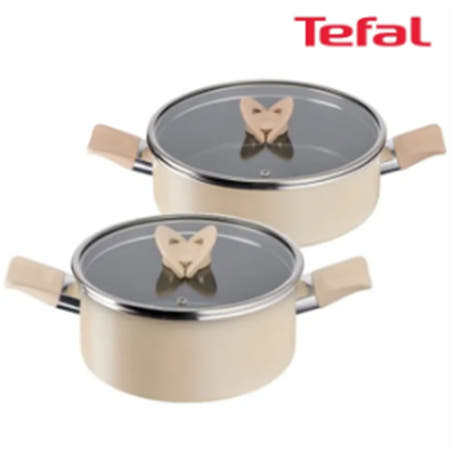 테팔 팬&냄비 인덕션 블라썸 베이지 2종세트 (양수냄비 24cm + 전골냄비 24cm)