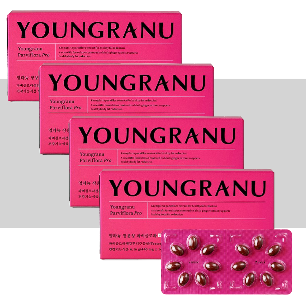 영라뉴 파비플로라 파피플로라 PRO 14캡슐X4개