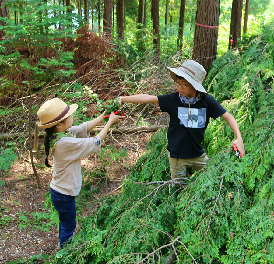 아기방 침구 피톤치드 100% 자연 탈취제 아보리덤 편백수 사천편백림 심재 대자연의나눔