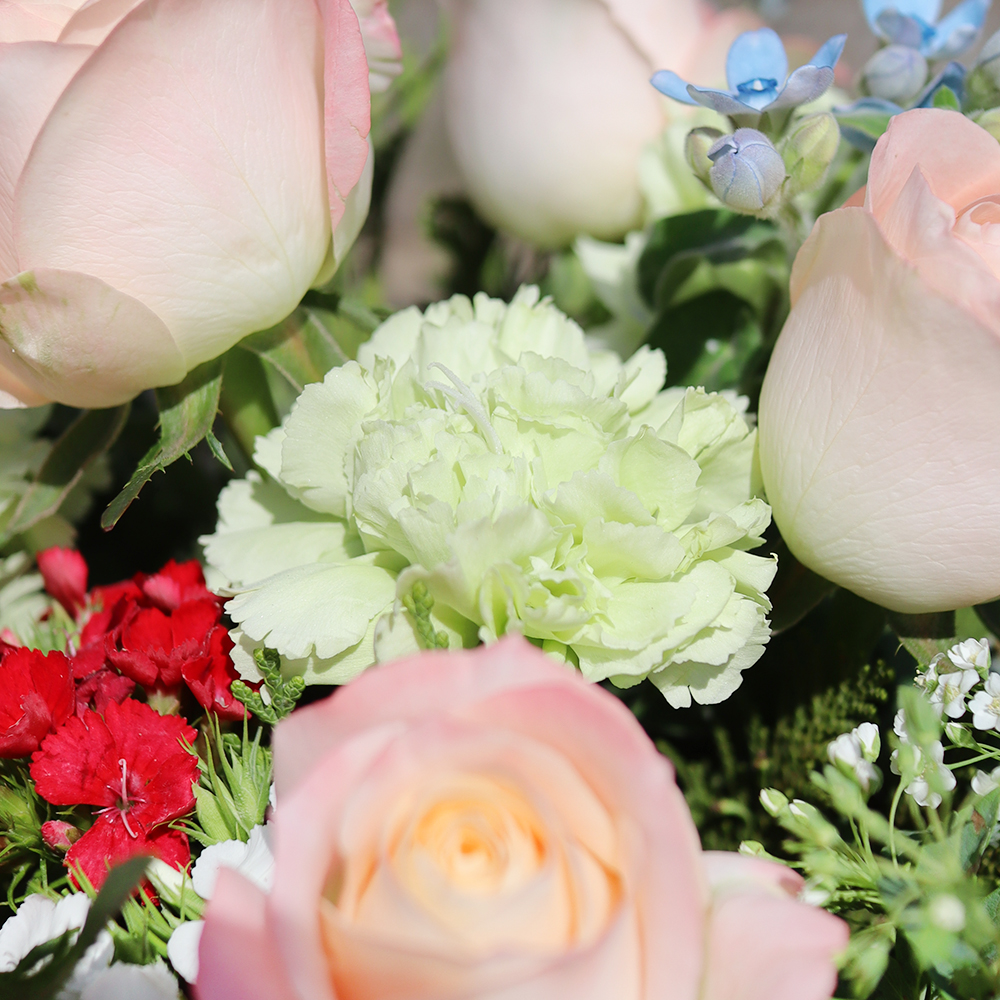 세종 카네이션 꽃바구니 어버이날 스승의날 꽃배달서비스 가정의달 부모님 선물 생화 농장직영