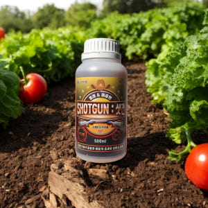 진딧물 클리너 응애 박멸제 총채 깍지벌레 퇴치 텃밭 살충제 농약아닌 상추... 실사용 후기 | 효과 있을까? - 상품 이미지 2