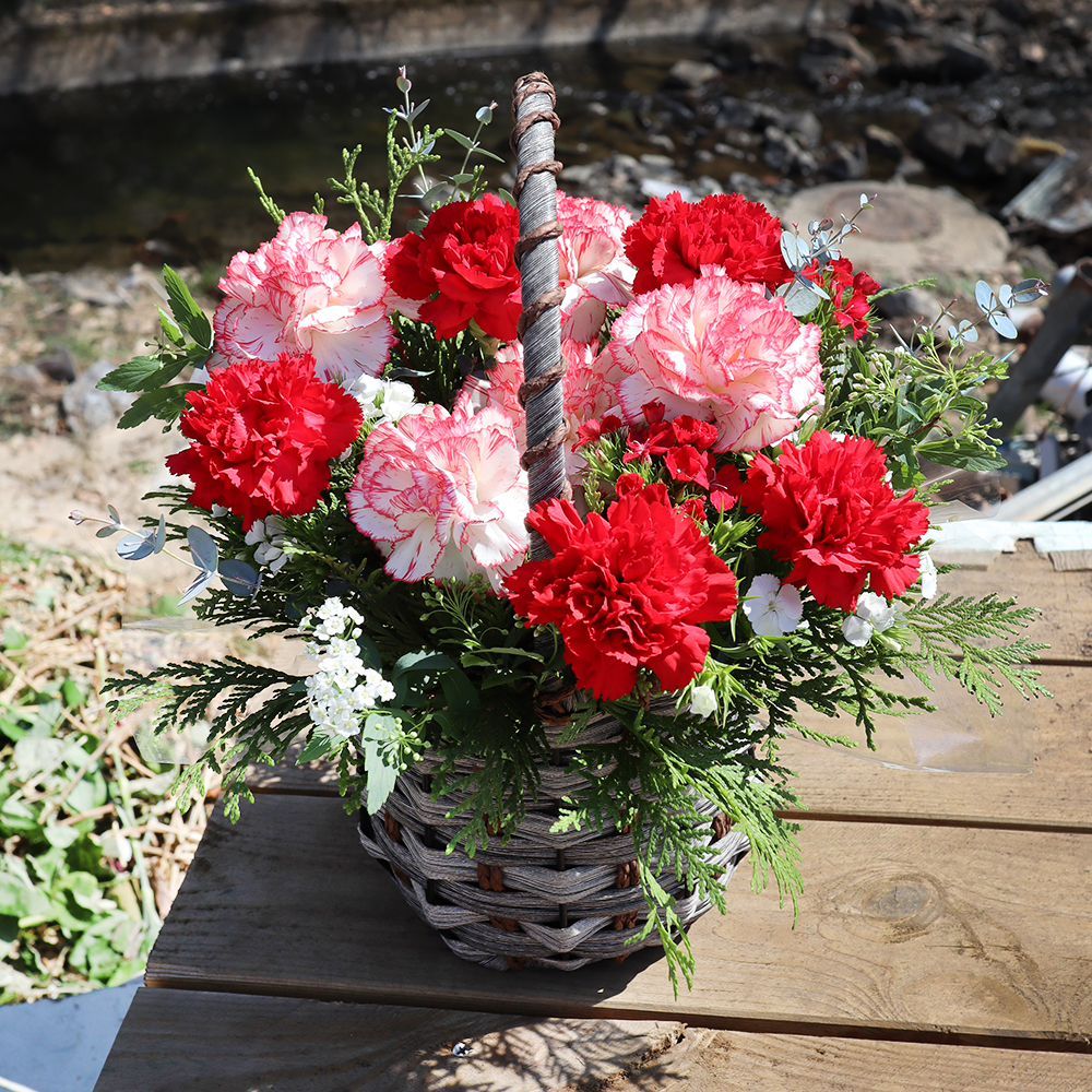 세종 카네이션 꽃바구니 어버이날 스승의날 꽃배달서비스 가정의달 부모님 선물 생화 농장직영