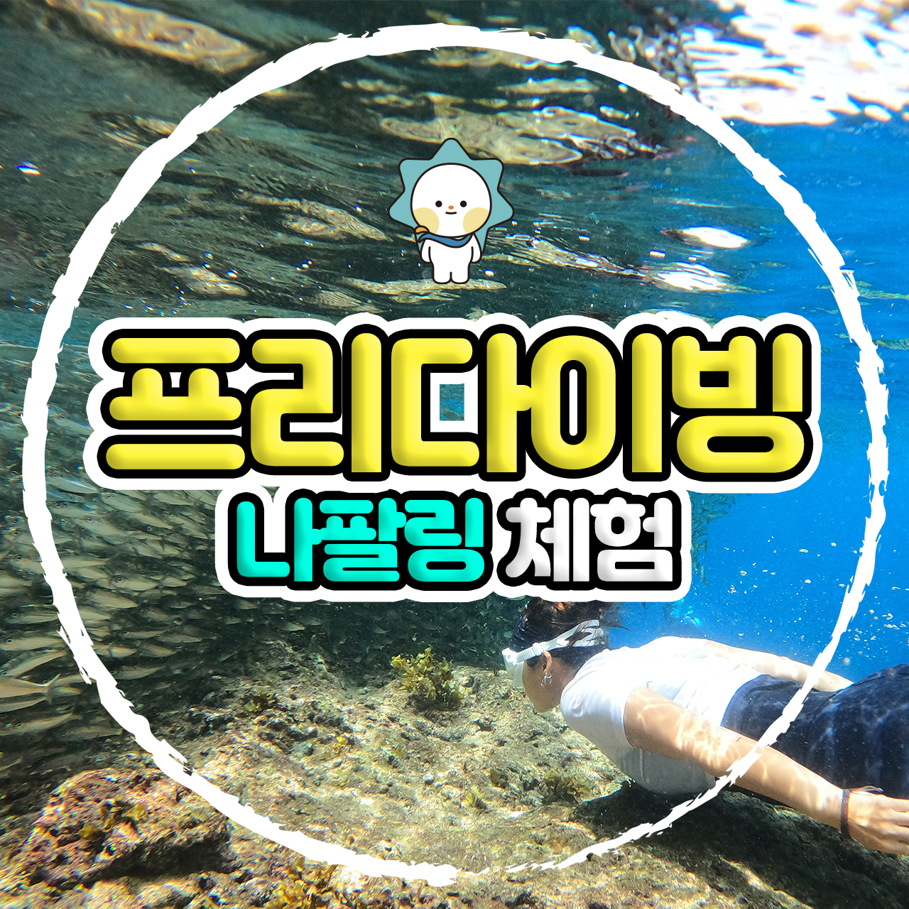 보홀 프리다이빙 체험 나팔링 보홀션 수중촬영 (한국인강사, 무료픽업드랍) - 메인 이미지