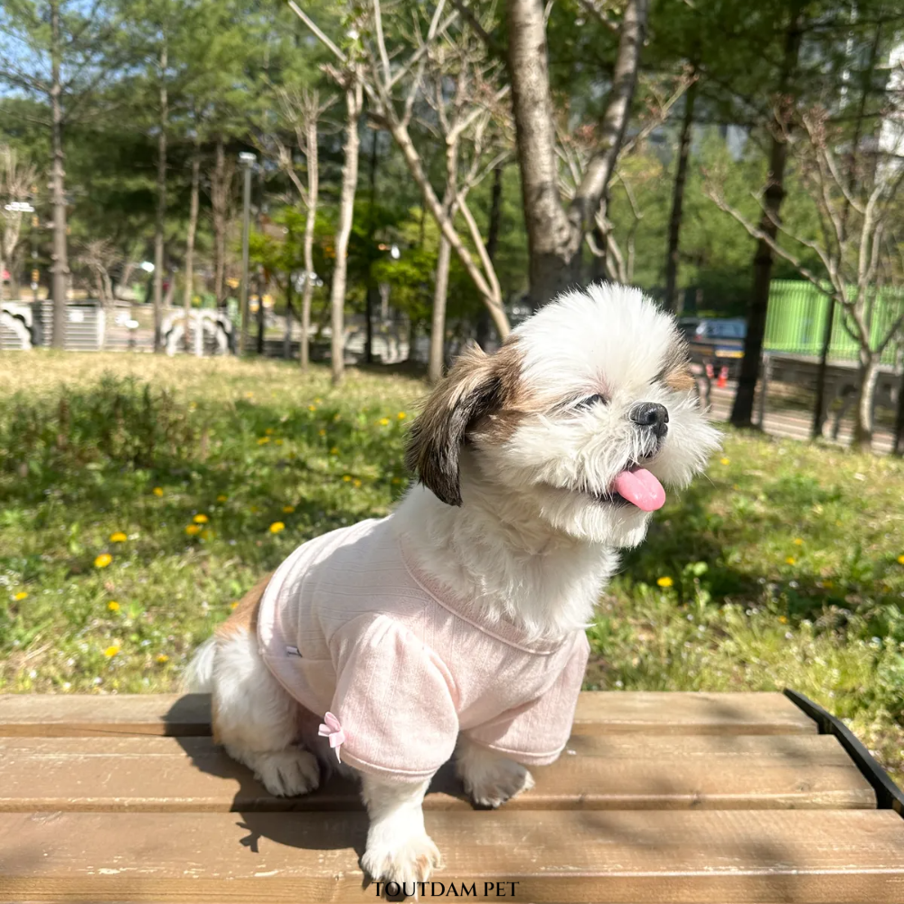 뚜담펫 강아지 고양이 봄옷 여름 크롭 가디건 귀여운 강아지옷 이미지 6