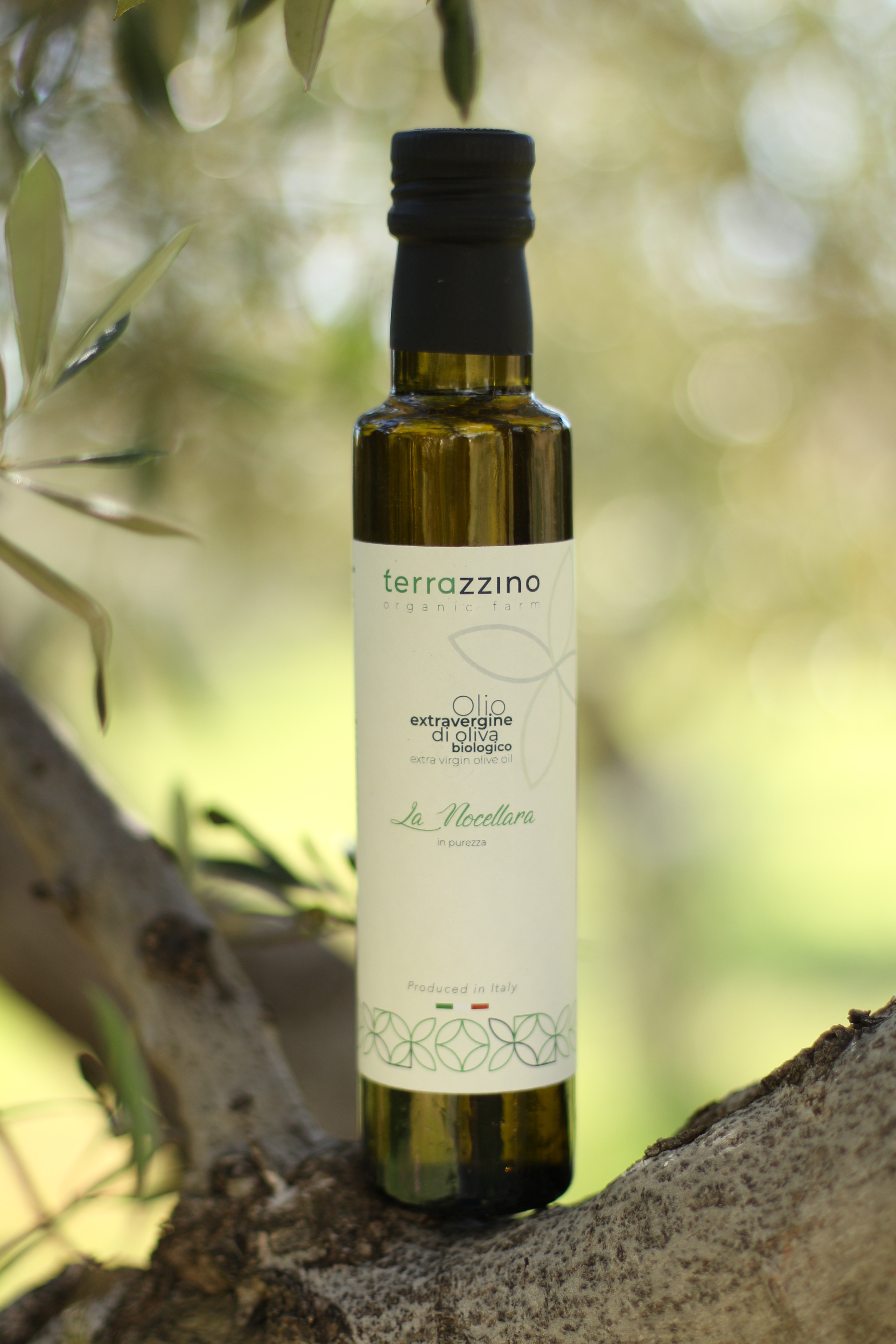 테라찌노 유기농 프리미엄 엑스트라버진 올리브오일 저산도 0.1도 올리브유 냉압착 튀김요리가능 이탈리아산 100%