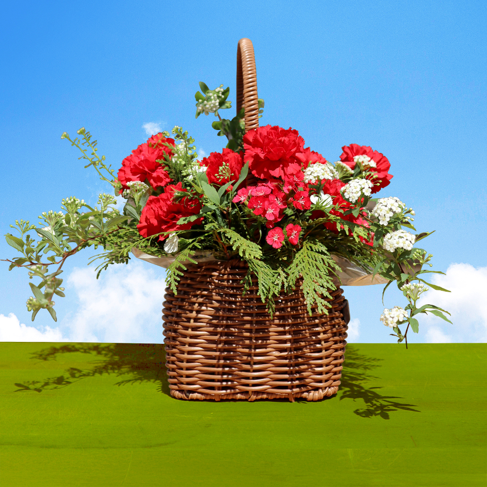 카네이션 꽃바구니 어버이날 스승의날 꽃배달서비스 가정의달 부모님 선물 생화 농장직영