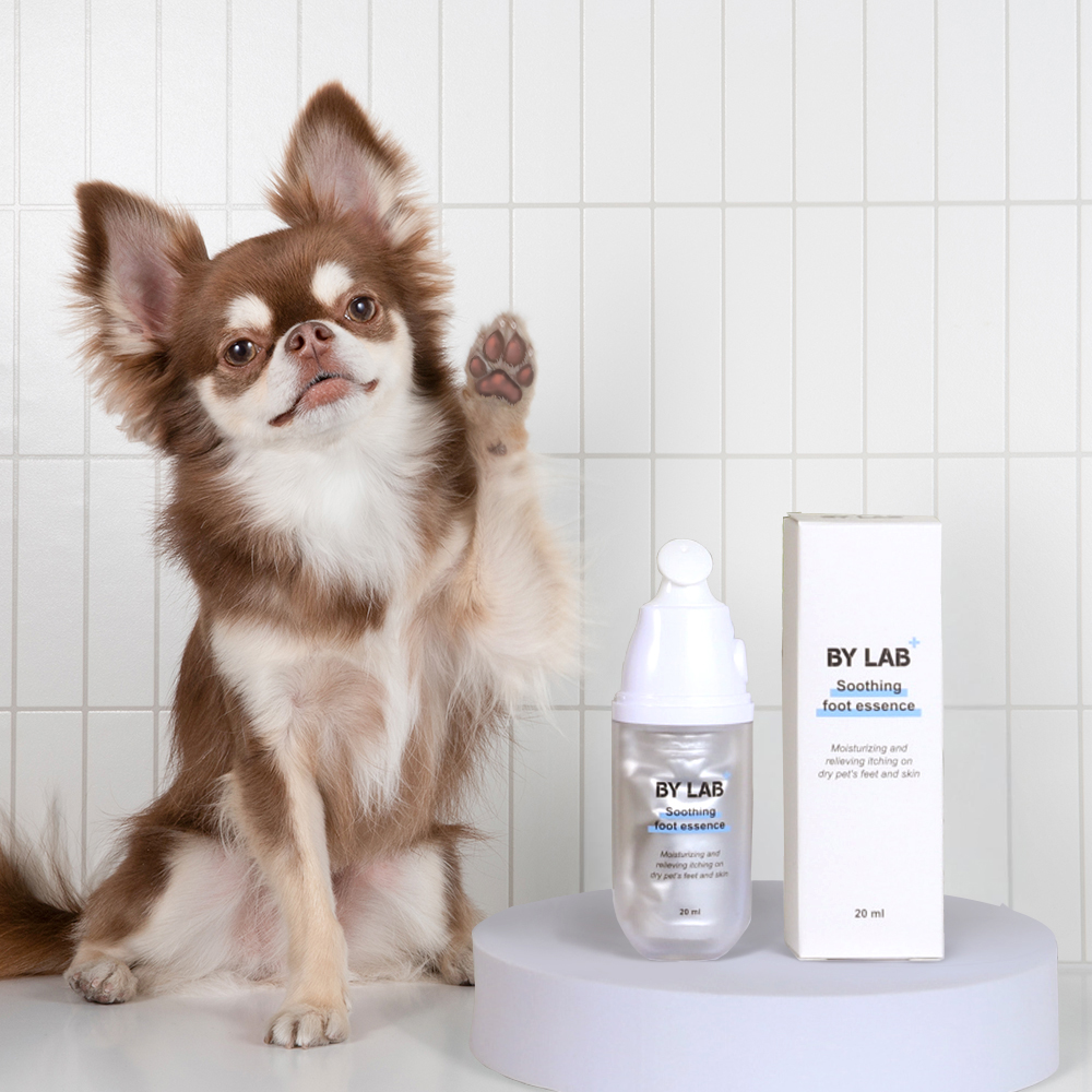 바이랩 수딩 풋 에센스 강아지 발바닥 보습제 습진 발 갈라짐 크림 수딩젤 20ml, 1개