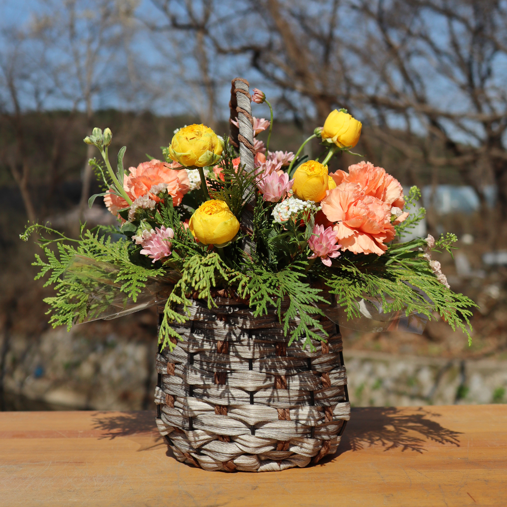 세종 카네이션 꽃바구니 어버이날 스승의날 꽃배달서비스 가정의달 부모님 선물 생화 농장직영