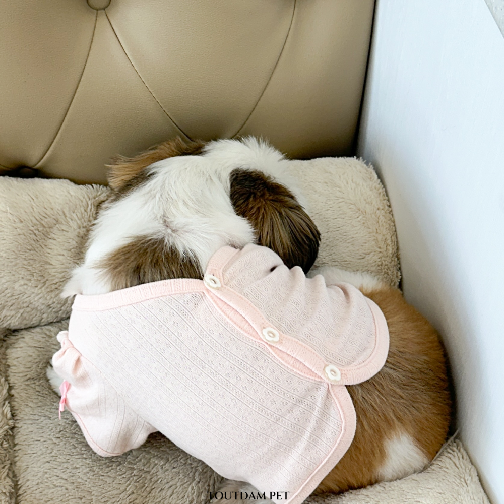 뚜담펫 강아지 고양이 봄옷 여름 크롭 가디건 귀여운 강아지옷 - 상세 이미지 3
