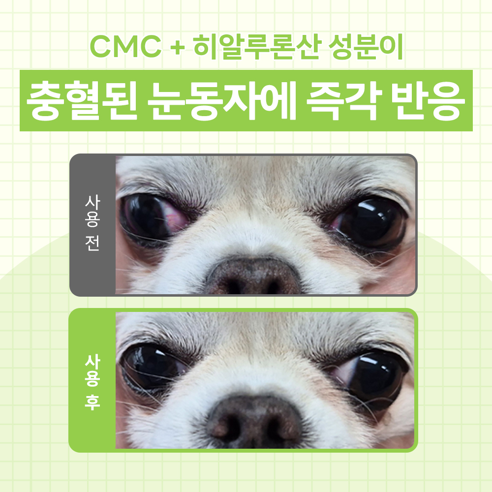 바이랩 아이드롭 강아지 인공 눈물 눈물자국 냄새 눈꼽 제거 눈세정제 20ml, 1개 - 상세 이미지 5