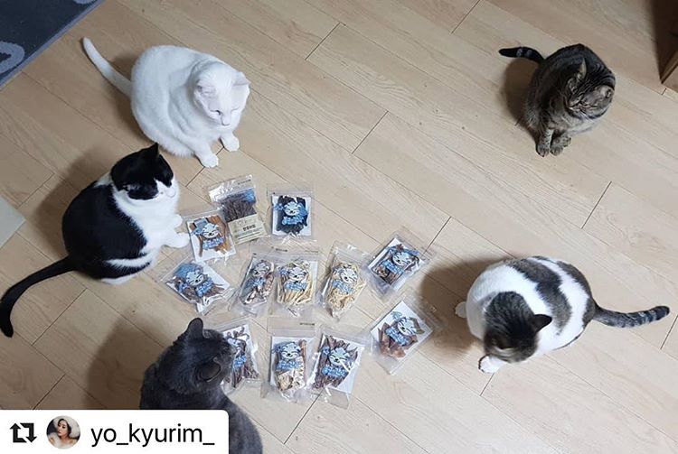 봉구의간식 강아지 고양이 반려견 펫푸드 닭연골 애견 애묘 천연 수제간식 말랑닭오도독 35g 이미지 6