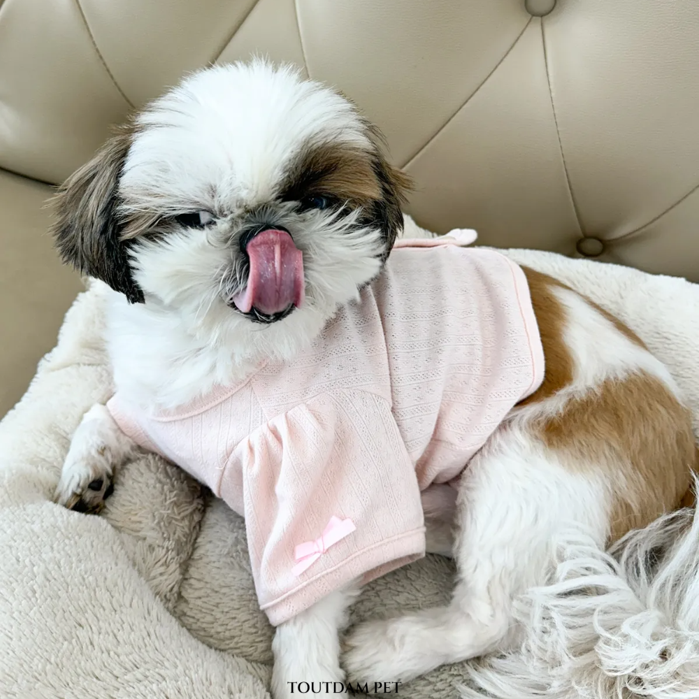뚜담펫 강아지 고양이 봄옷 여름 크롭 가디건 귀여운 강아지옷 - 상세 이미지 5