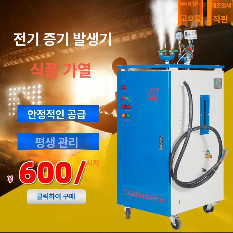 전기 스팀 보일러 산업용 세탁소 가열 호스트 본품 식당 3KW 손잡이형 보일러다리미호스 : 더다선컴퍼니