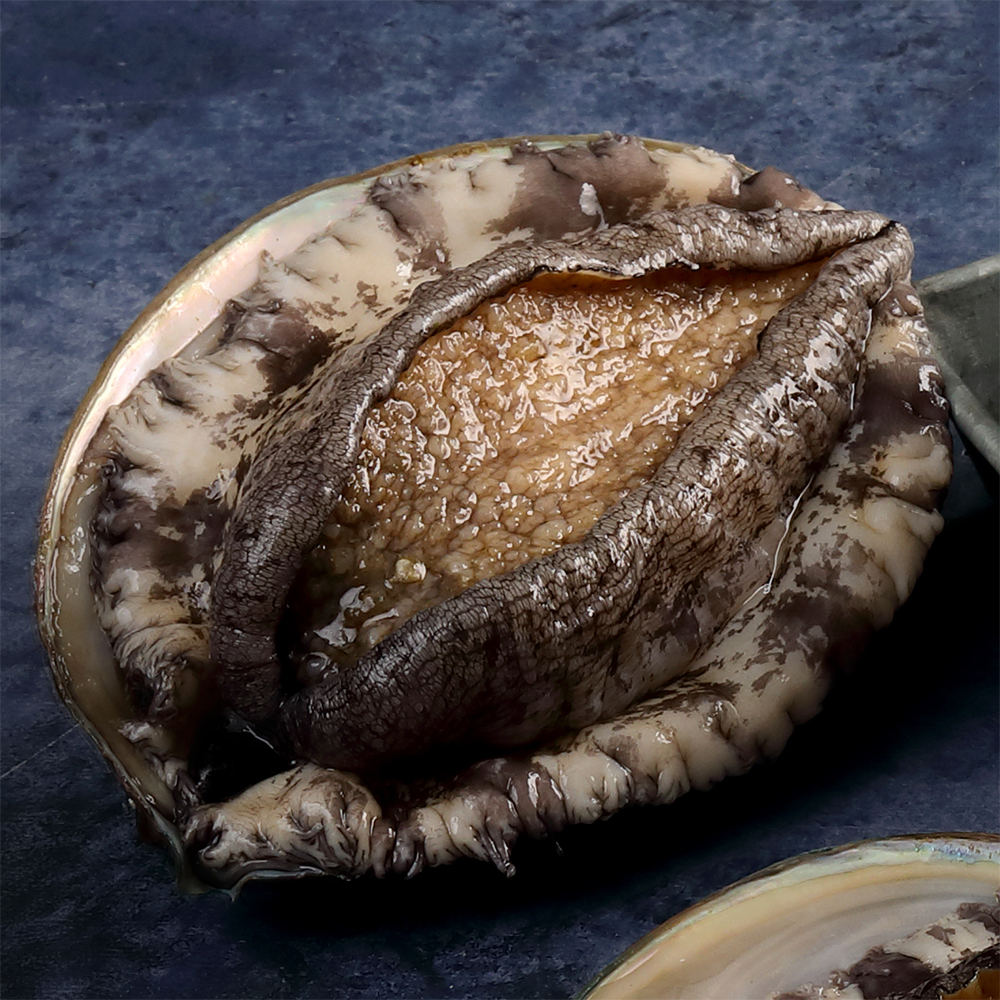 [꼬복상회] 완도 산지직송 활전복 1kg 사이즈별 다양 당일조업 왕특대 사이즈까지 선물용