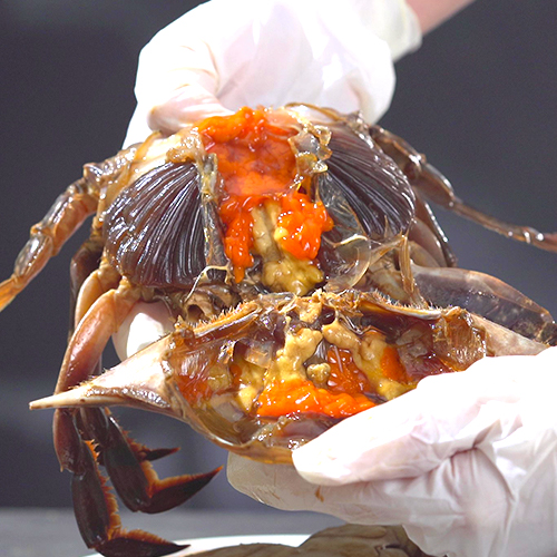 80년전통 연평도 간장게장 알배기 암꽃게 중 2.2kg 이미지 6