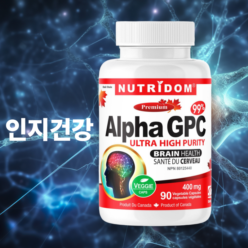 뉴트리돔 순도 99% 알파 지피시 GPC 콜린 알포세레이트 400mg 90캡슐, 1개 이미지 7