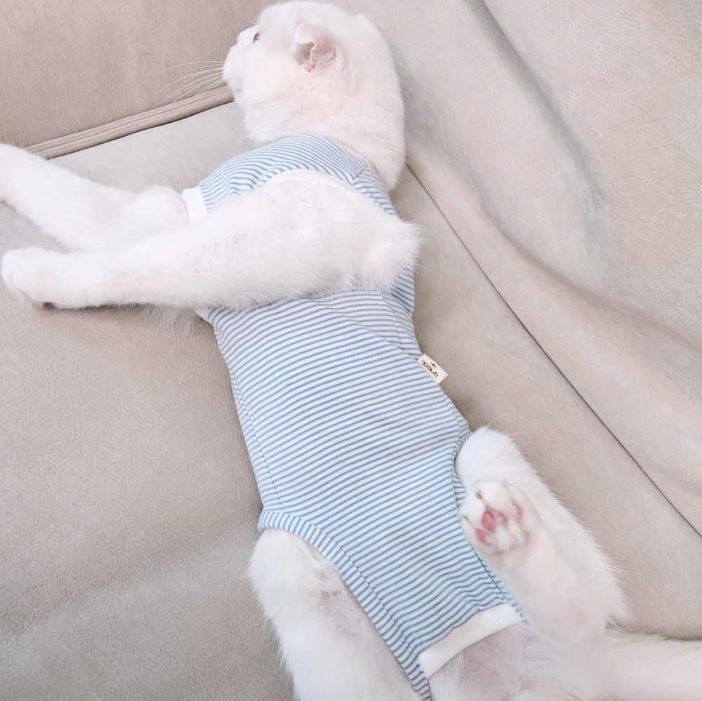 고양이옷 환묘복 오가닉코튼 오버그루밍방지 중성화옷 핑크 도트