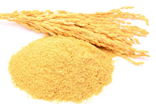 귀뚜라미 사료 친환경 미강 100g : 게코스도프