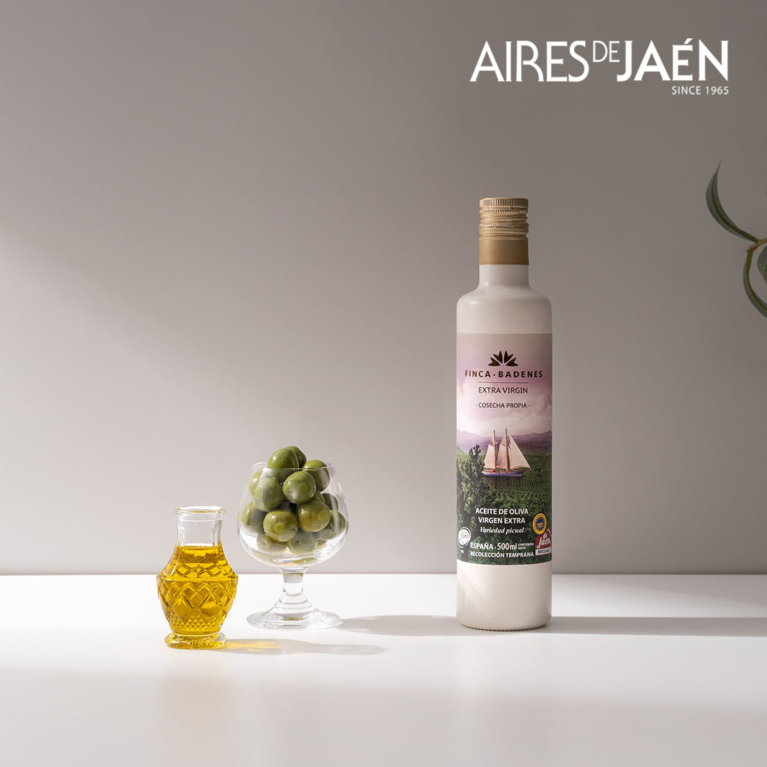 아이레스데하엔 핀카 바데네스 피쿠알 엑스트라버진 올리브오일 선물세트 500ml, 2병 - 상세 이미지 4