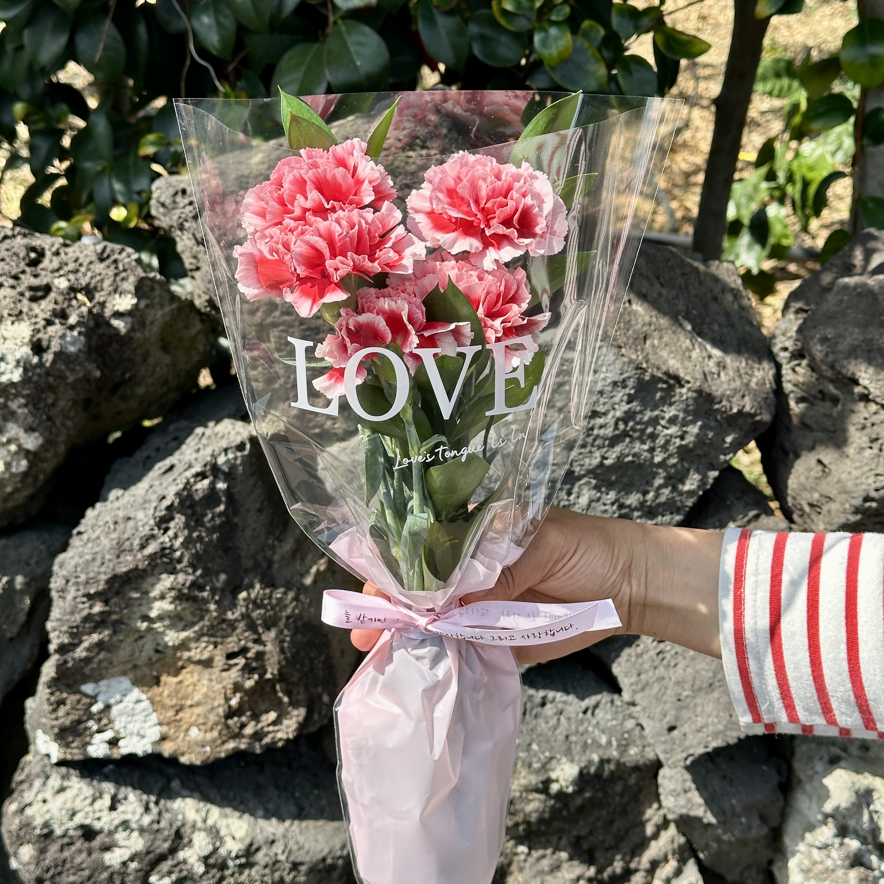 희록플라워 카네이션 생화 5송이꽃다발 어버이날카네이션 스승의날선물 꽃배달 행사 단체 꽃다발 이미지 7