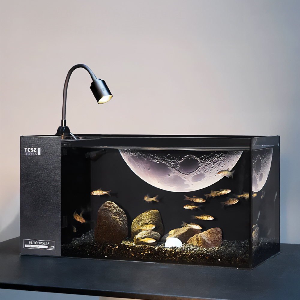 어항 세트 구피 베타 키우기 물고기 수조 유리 수족관